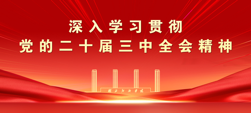 深入学校贯彻党的二十届三中全会精神